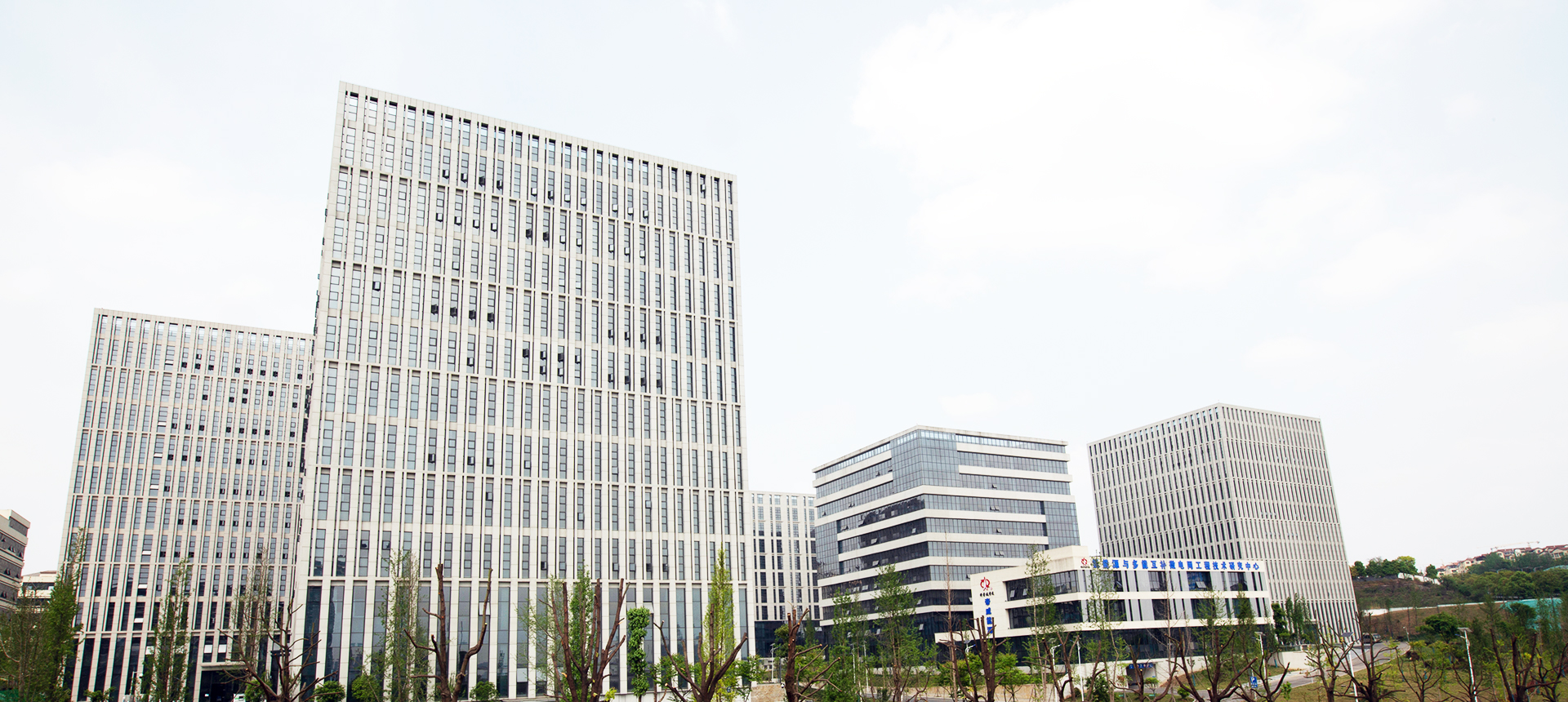 正于行(xíng) 基于心 